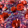 Elle - LS Musik&NAKAZURU