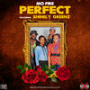 Perfect (feat. MO-FIRE) - Shinely Greenz&MO-FIRE