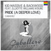 Pride(A Deeper Love) (Acapella) - Kid Massive&Backwood&Elliotte Williams N'dure