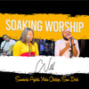 Soaking Worship - Yinka Okeleye&Sunmisola Agbebi&Seun Dede