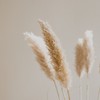 Breathing Deeply - Rain Sounds&Sound Sleeping&SPA