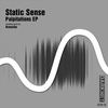 Palpitations (Krenzlin Remix) - Static Sense&Krenzlin