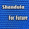 Daydream (Original Mix) - Shandula