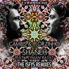 Shaneh (The Isfys Stony Dub) - Cambis&Florzinho&Peyman Bayat