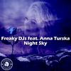 Night Sky (Radio Edit) - Freaky DJs&Anna Turska