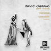 Free Vision (Dj Daro Remix) - David Caetano&Dj Daro
