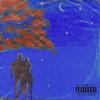 Destiny(feat. TopHillFreddo) (Explicit) - thelocaltrash&tophillfreddo