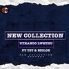 Uthando lwethu (feat. TST MUSIC & MOLOK) - New Collection sa&TST MUSIC&Molok