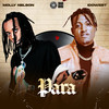 Para (Explicit) - Molly Nelson&Idowest