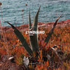 L'Indiano - Intercity