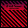 Overexcitable - Dried Flower