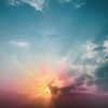 Give Us the Light - Tony Underwood