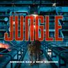 Jungle (Explicit) - Meridian Dan&New Machine