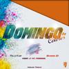 Domingo De Colores(feat. Arking La Voz Fenomenal & Antidema 23) - Pollo Flow&Arking La Voz Fenomenal&Antidema 23