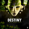 Destiny (Capital Monkey Remix) - Krome Angels&Capital Monkey