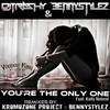You're The Only One (KromOzone Project Remix) - DJ Trashy&BennyStylez&Kelly Noland&KromOzone Project