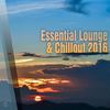 Gracefulness (Original Mix) - Diario