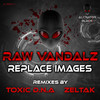 Replace Images (Toxic D.N.A Remix) - Raw Vandalz