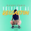 Volvimo' al Reggaeton - Randy Paris