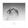 It All Adds Up - Adriana Lopez