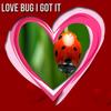 Love Bug I Got It - Mr.A.Love&Corbett