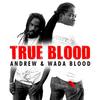 Gal You Nah Easy - Andrew & Wada Blood