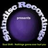 Nothings gonna ever hurt you - Soul Shift