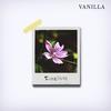 Fiorellino - Vanilla