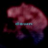 Damsel Saving - Dawn