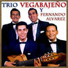 Amor Prohibido - Trio Vegabajeno&Fernando Alvarez