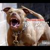 Big Dawg (Explicit) - ProPhane Dinero