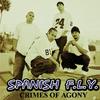 Burning Down The House - Spanish Fly