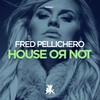 House or Not - Fred Pellichero
