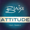 Attitude (David Noakes Club Mix) - Twizzle&Blaise&David Noakes