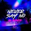 Never Say No (Instrumental Mix) - Pic Schmitz