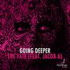 The Fate (Extended Mix) - Going Deeper&Jacob A