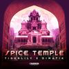 Spice Temple (Aristo G Remix) - tigerlily&Dimatik