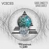 Voices (Original Mix) - David Garez&Gabo Zandetti 