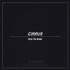 Drop the Break - CIRRUS