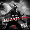 Selekta (Original Mix) - Mr. Sid