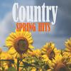 Hide The Wine - Carly Pearce