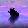 U Got My Heart - ZEC.