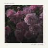 No Answers - Black Orchid