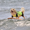 surf - George&Cosmic Boy