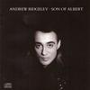 Hangin - Andrew Ridgeley