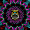 Conflicted Computer - Common Creation