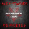 Conform (Original Mix) - Alex Turner