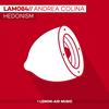 Hedonism (Original Mix) - Andrea Colina