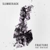 Fracture (Original Mix) - Slumberjack&Vera Blue