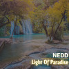 Light of Paradise - Nedd